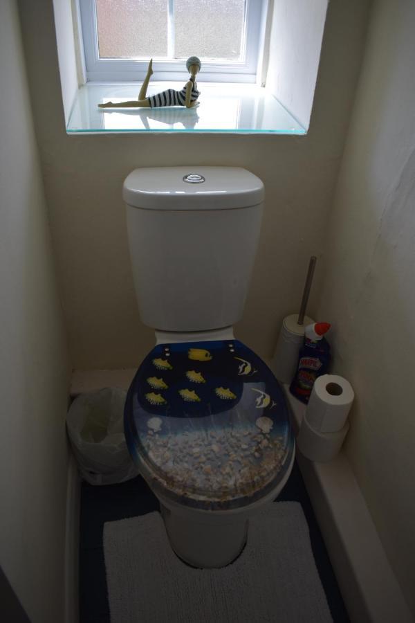 Froglets Apartment Tregoney ภายนอก รูปภาพ